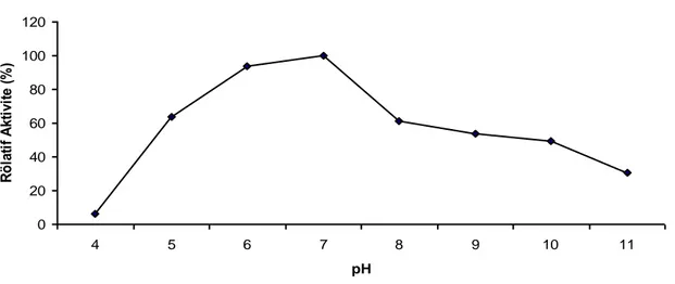 Şekil 4.6. Enzim Aktivitesi  Üzerine pH‟nın  Etkisi 