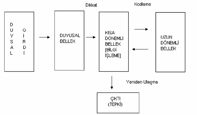 Şekil 3. Bilişsel Kurama Göre Bellekte Bilginin İşlenişini Yansıtan Bir Model.                                                 