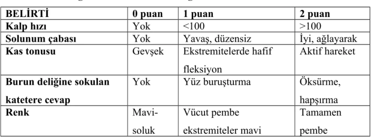Tablo 2: Yenidoğan Bebekte APGAR Değerlendirmesi