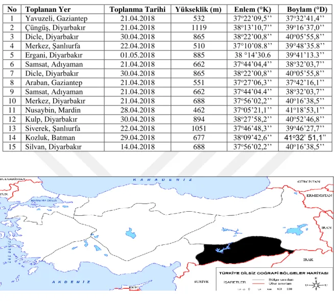 Şekil 3.1. Türkiye Bölgeler Haritası  