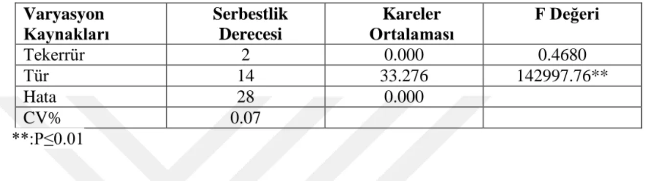 Çizelge 4.1. Astragalus taksonlarının ham protein oranlarına ait varyans analizi   Varyasyon  Kaynakları  Serbestlik Derecesi  Kareler  Ortalaması  F Değeri  Tekerrür   2  0.000  0.4680  Tür   14  33.276  142997.76**  Hata   28  0.000  CV%  0.07   **:P≤0.0