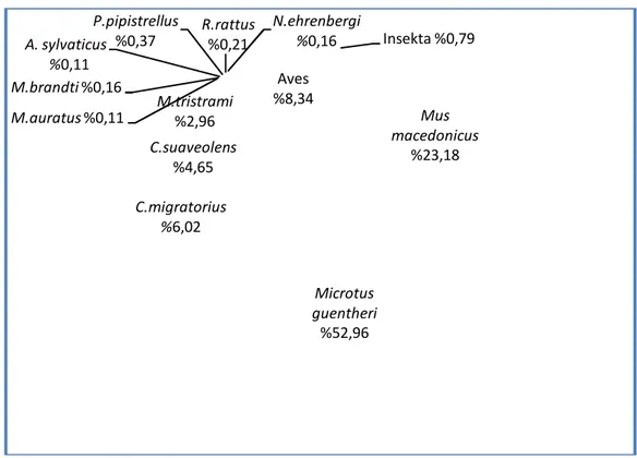 Şekil 1 - Tanımlanan kalıntıların genel dağılım grafiği 