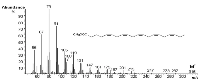 Şekil 9. Myrmecaelurus maior ergin bireylerinin fosfolipit fraksiyonundaki  eikosapentaenoik asit metil esterinin (20:5n-3) kütle spektrumu  