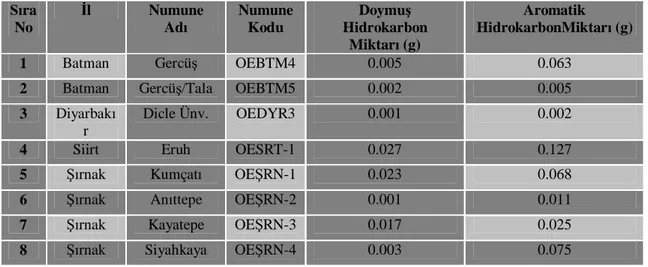 Çizelge 4.8.  ncelenen Örneklerin Kolon Kromotografi Analiz Sonuçlar   ra  No  l  Numune  Ad   Numune Kodu  Doymu   Hidrokarbon  Miktar  (g)  Aromatik  HidrokarbonMiktar  (g) 