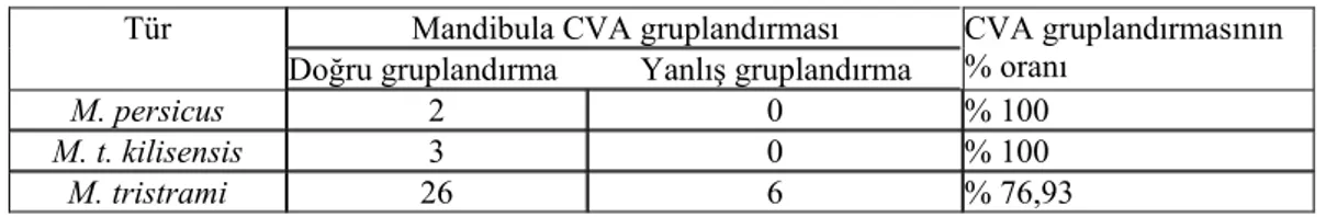 Tablo 9. Mandibula yapısına dayalı CVA gruplandırması. 