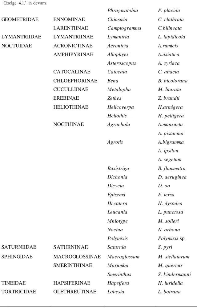 Çizelge  4.1.’  in devamı 