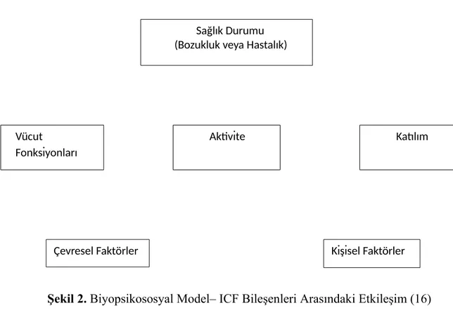 Şekil 2. Biyopsikososyal Model– ICF Bileşenleri Arasındaki Etkileşim (16) ICF Sınıflaması 2004 yılında Türkçeye çevrilmiş ve engelliliğin ölçülmesinde temel alınması strateji olarak benimsenerek kurslar düzenlenmiştir (17).