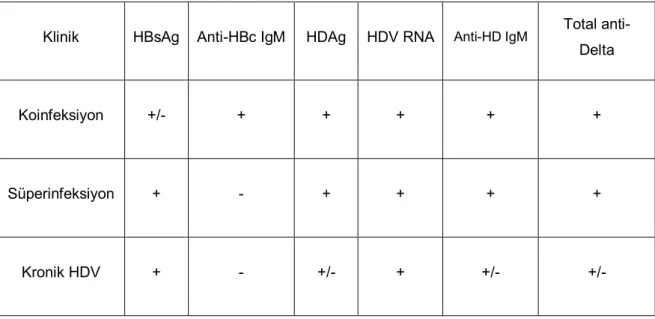 Tablo 4: HDV infeksiyonunda serolojik tanı (Kaynak 40’dan alınmıştır). 