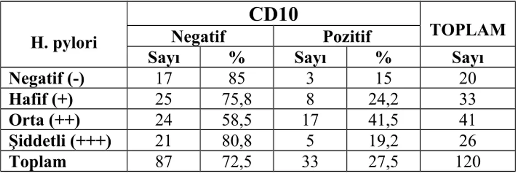 Tablo 10: H. pylori kolonizasyon derecesi ile CD10 pozitifliği arasındaki ilişki