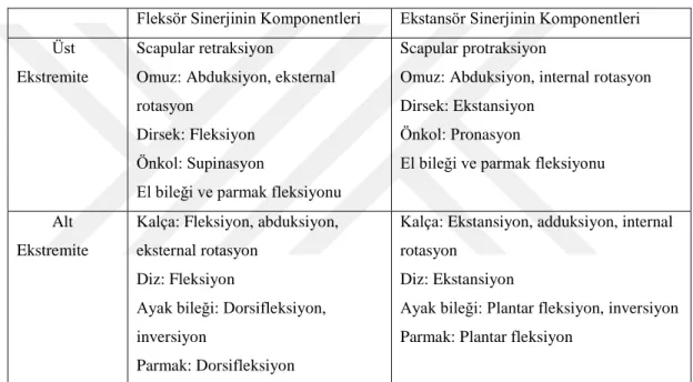 Tablo 1: Brunnstrom sinerjileri 