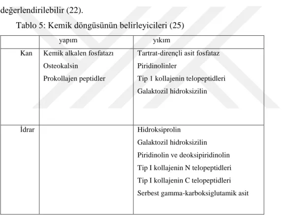 Tablo 5: Kemik döngüsünün belirleyicileri (25) 