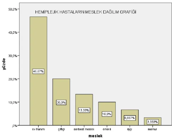 Şekil 3: Hemiplejik Hastaların Meslek Dağılım Grafiği 