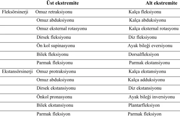 Tablo 4: Brunstroom sinerjileri (1):