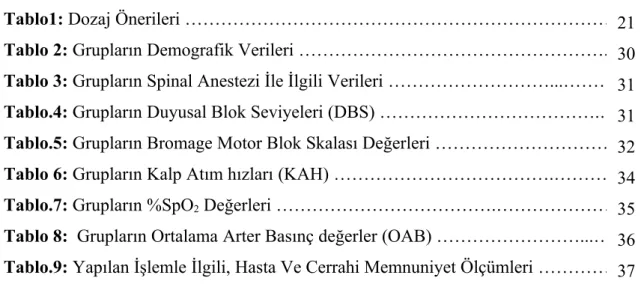 TABLO LİSTESİ