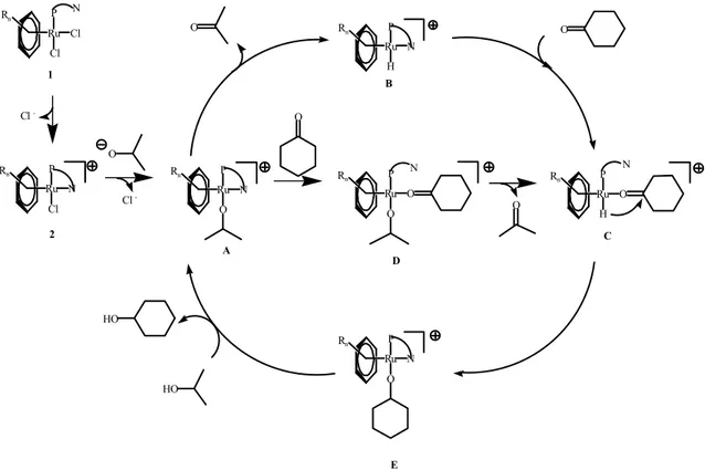 Şekil 2.18. 2-propanol varlığında siklohegzanonun transfer hidrojenasyonu için önerilen katalitik döngü