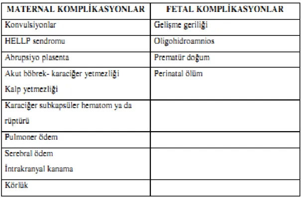 Tablo 2: Preeklampsinin komplikasyonları 