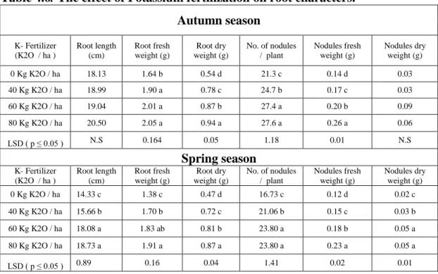 Table 4.6. The effect of Potassium fertilization on root characters. Autumn season  K- Fertilizer  (K2O  / ha )   Root length (cm)  Root fresh  weight (g)  Root dry  weight (g)  No