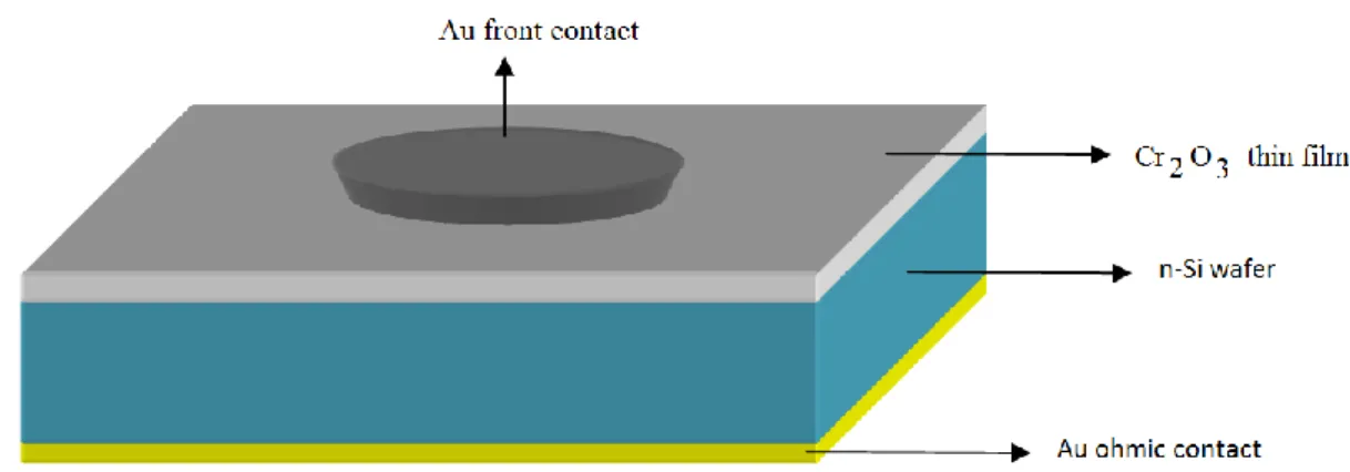 Fig 3.8. The cross section illustratioon of  Au/ Cr2O3/n-Si diode 