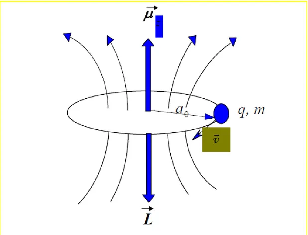 Figure  1.1  L  angular  momentum  of  a  particle,  which  is  charged  with  q,  of  mass  m  moving  with  constant linear velocity v on an orbital with a o  radius and orbital magnetic   moment  μ
