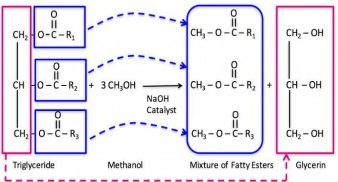 Figure 3. Esterification reaction[26] 