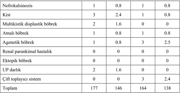 Tablo 4. 6. Hastaların DMSA sintigrafisi bulguları.