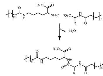 Şekil 4.15. R = Me; R1=Etil;  n = 9; m=13 (N Ɛ -Palmitoil-L-lizinetil ester/N-Lauroil-L-Alanin   (D1))  R=i-butil; R1=Etil; n=9; m=13 (N Ɛ -Palmitoil-L-lizinetil ester/N-Lauroil-L-Lösin (D2))  R =Bn; R1=Etil; n=9; m=13  (N Ɛ -Palmitoil-L-lizinetil ester/N-