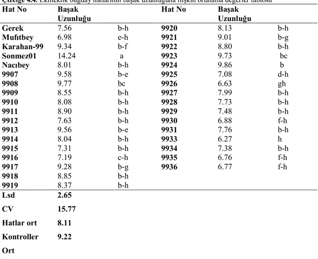 Çizelge 4.4. Ekmeklik buğday hatlarının başak uzunluğuna ilişkin ortalama değerler tablosu  Hat No  Başak  Uzunluğu   Hat No  Başak  Uzunluğu  Gerek  7.56     b-h  9920  8.13     b-h  Mufıtbey  6.98      e-h  9921  9.01    b-g  Karahan-99  9.34     b-f  99