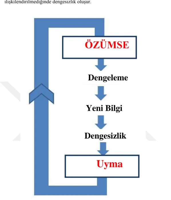 Şekil 3: Uyum Sağlama Süreci 30