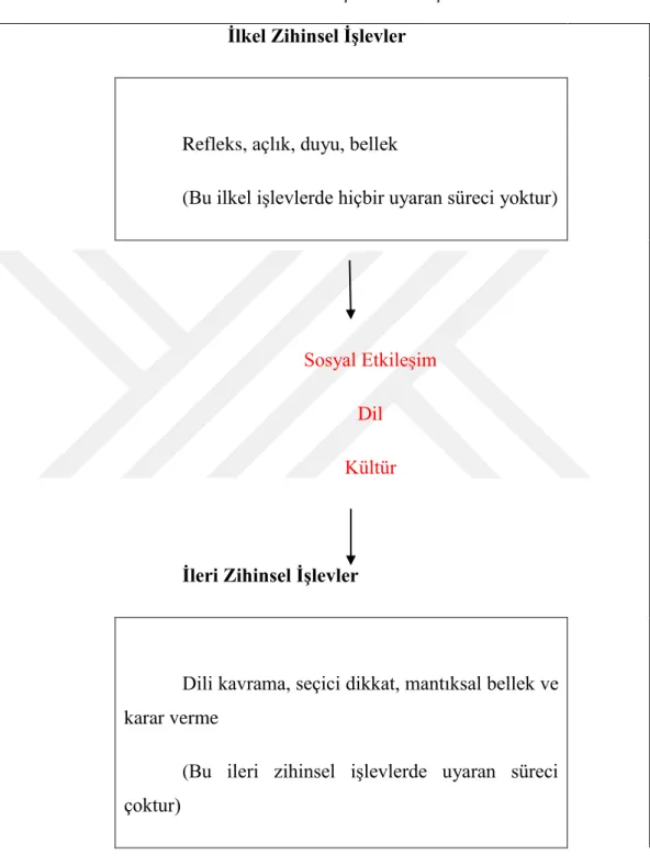 Tablo 2: İşlevlerin Gelişimi 54