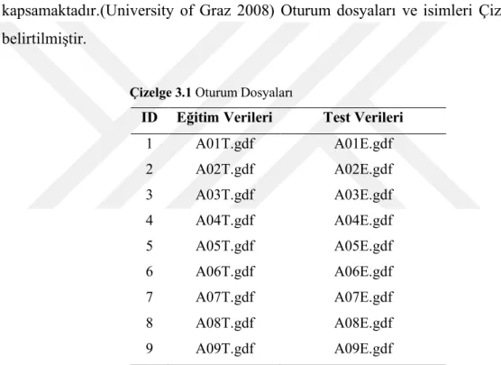 Çizelge 3.1 Oturum Dosyaları 