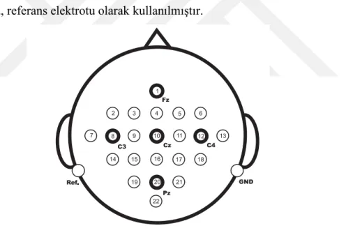 Şekil 3.2. 22 kanallı elektrot lokasyonları 