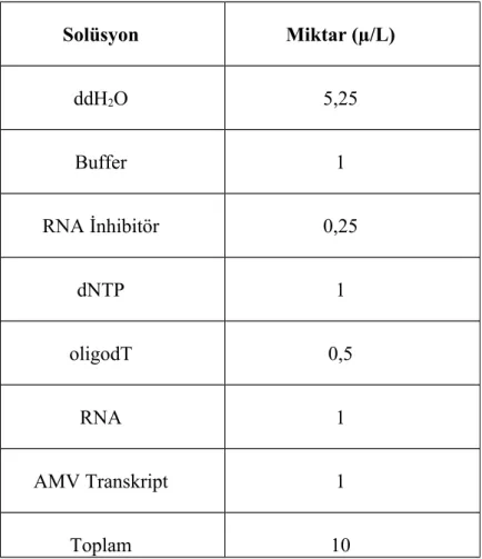 Tablo 1. Canine parainfluenza virus izolasyonu için cDNA sentez karışımı