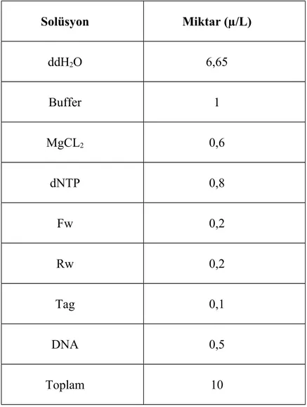 Tablo 3. Canine parainfluenza virus izolasyonu için cDNA sentezi PCR karışımı