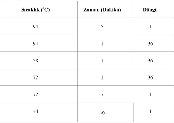 Tablo 6. Canine adenovirus izolasyonu için PCR koşulları