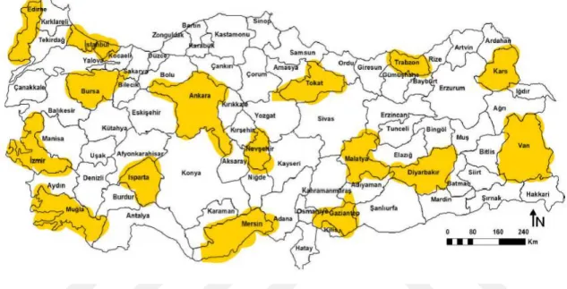 Tablo  4’de  12  İstatistiki  Bölge  Birimlerinde  yer  alan  iller  görülmektedir.  Tabloda  koyu  renkteki 16 il  (İstanbul,  Edirne, İzmir, Muğla,  Bursa,  Ankara, Isparta, Mersin, 