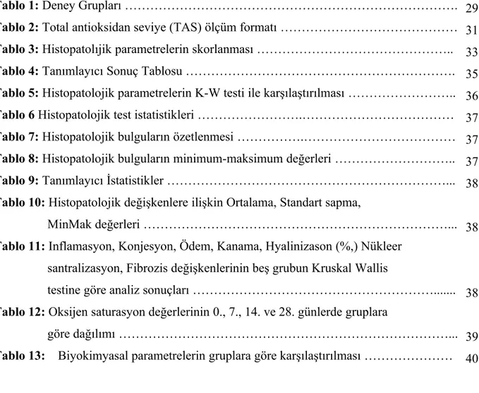 TABLO LİSTESİ