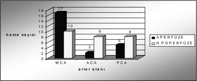 Tablo 8: Toplam 23 hastada her bir hemisferde üç arter alanına göre (toplam 138 alan) Tc99m-HMPAO SPECT ve BT/MRI bulgularının değerlendirilmesi