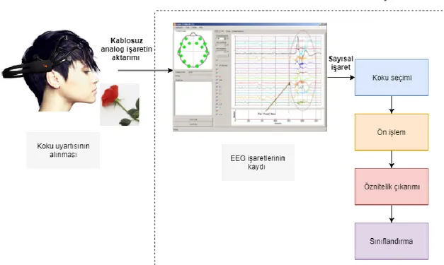 Şekil 1.7. Koku verilerine ilişkin EEG verilerinin incelenmesinde genel yaklaşım 