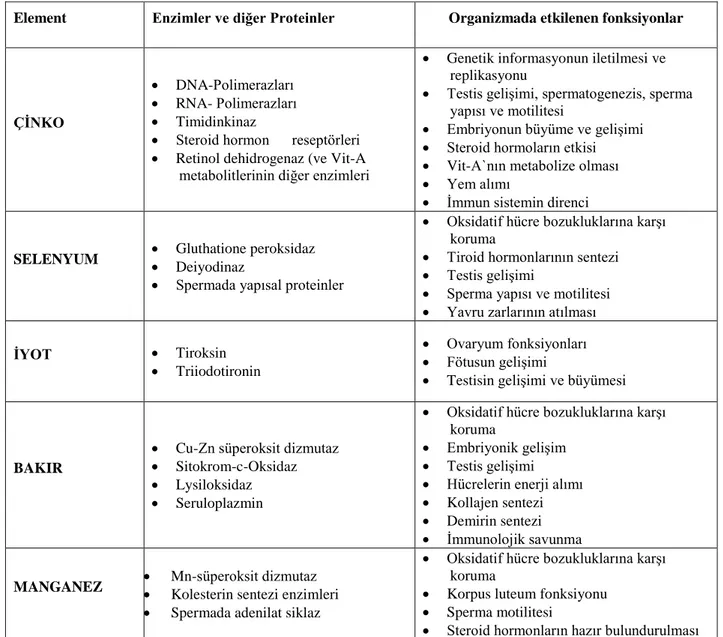 Tablo 5. İz elementlere bağlı enzimler ve bunların fertilite ile ilgili vücut fonksiyonları üzerindeki etkileri   * Leonhard-Marek (2)’den alınmıştır