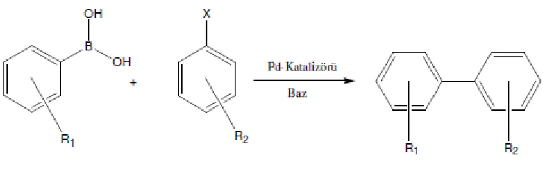Şekil 1.12. Suzuki  Miyaura C-C eşleşme reaksiyonu gösterimi (Suzuki 1991 ). 