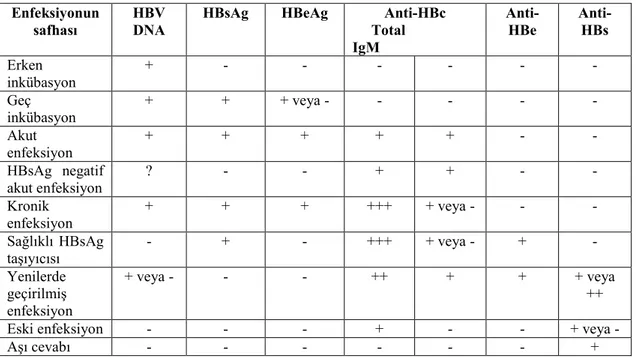 Tablo 5: HBV Enfeksiyonunun  farklı  safhalarındaki  ve  konvelesanstaki HBV