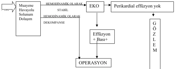 Şekil 1: Penetran kalp yaralanması olgusuna yaklaşım algoritmi