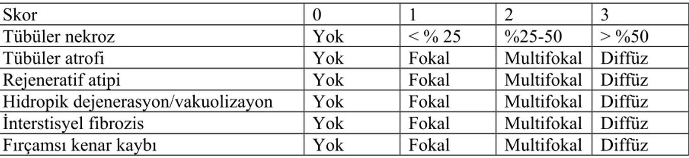 Tablo 5.1: Histopatolojik skorlama