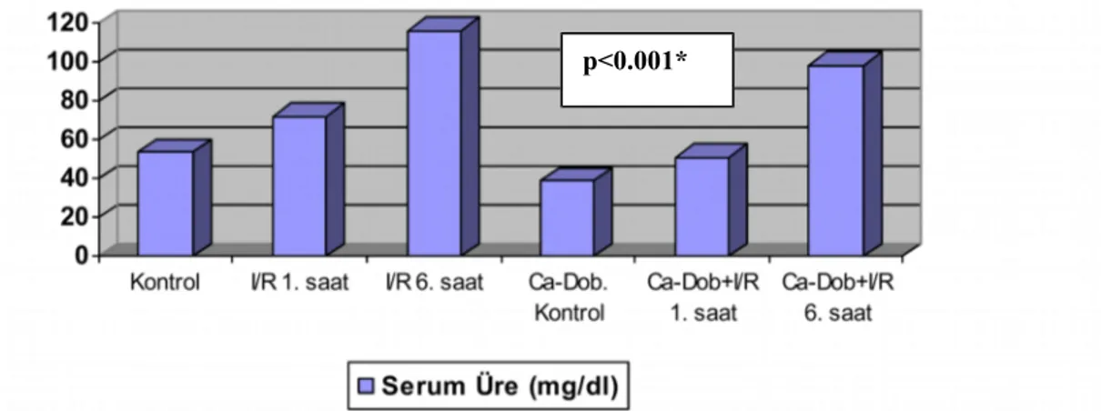 Şekil 6.1: Deneklerin serum üre düzeyleri