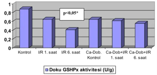 Şekil 6.4: Deneklerin böbrek dokusu GSHPx aktivitesi düzeyleri