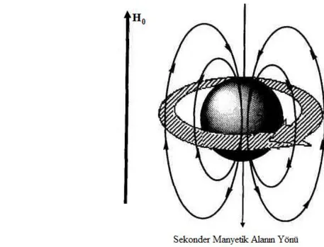 Şekil 1.10. Dış manyetik alanın etkisi ile elektronların oluşturduğu sekonder manyetik alan 