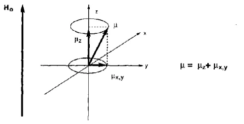Şekil 1.18. Manyetik momentin z ekseninde ve xy düzleminde olan bileşenleri 