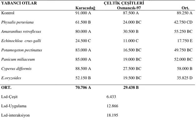 Çizelge 4. 4. Uygulama, çeşit ve uygulama x çeşit interaksiyonlarının arazi koşullarında çimlenme  