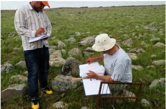 Şekil 3.9. 1169 m Rakımlı Meraya Ait Görüntüler