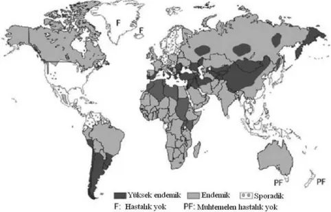 Şekil 7. Echinococcus granulosus'un yeryüzündeki dağılımı (30).